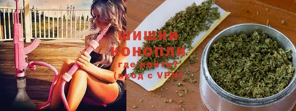 стафф Богородицк