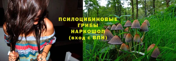 твердый Богородск