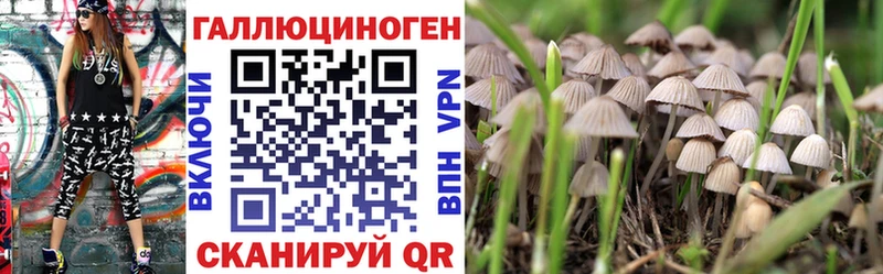 цена наркотик  Самара  Псилоцибиновые грибы мицелий 